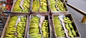 Platanos